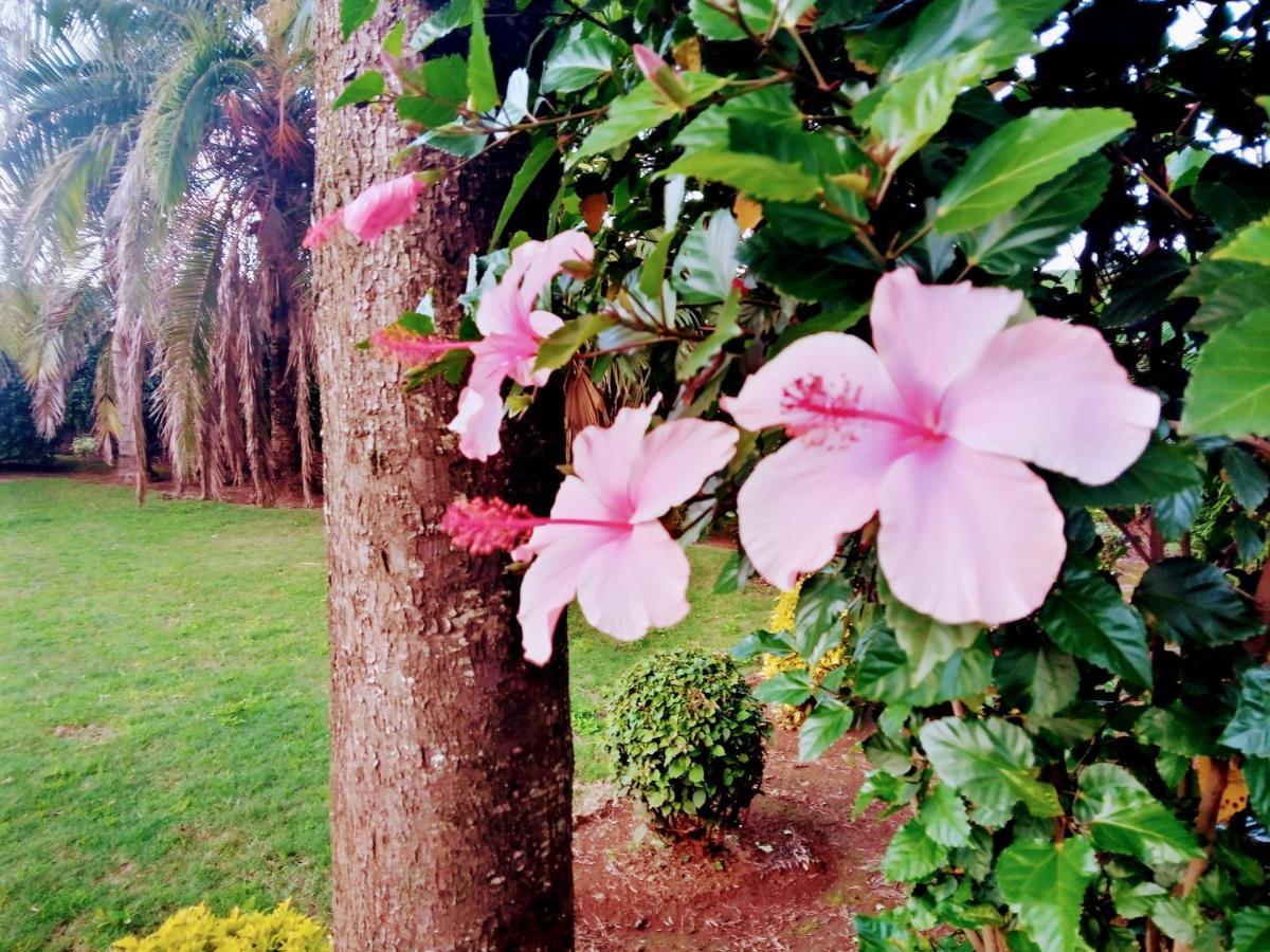 Greenfield Homestay -Full Board Oloitokitok Esterno foto